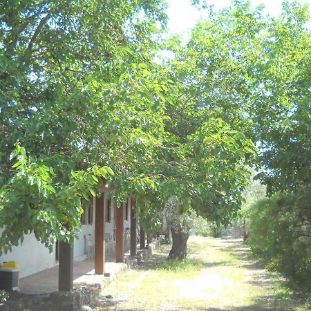Agriturismo Su Tiresi Cala Gonone Exteriör bild