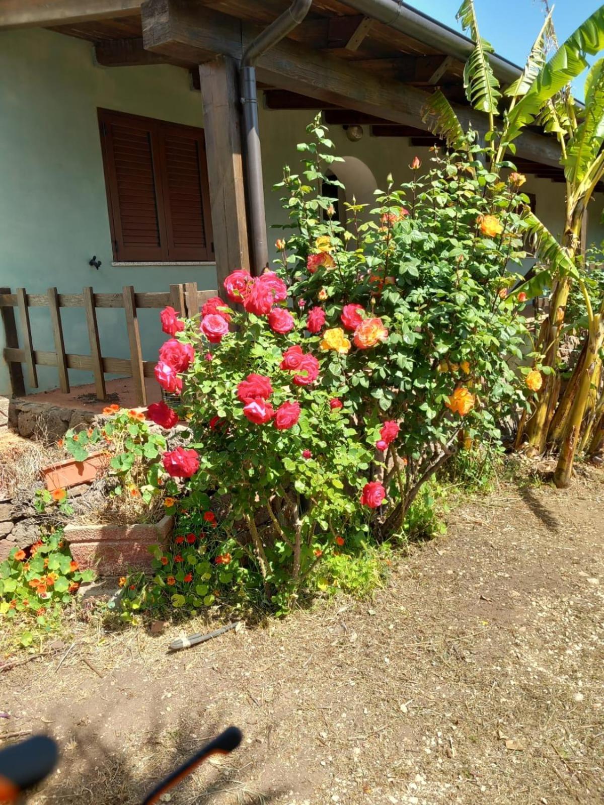 Agriturismo Su Tiresi Cala Gonone Exteriör bild