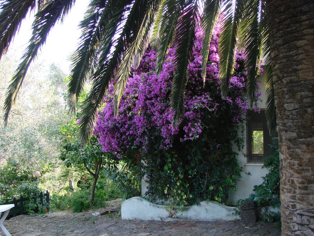 Agriturismo Su Tiresi Cala Gonone Exteriör bild