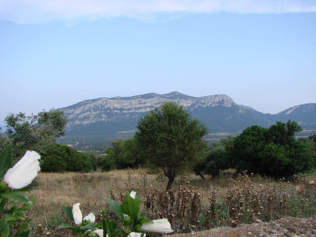 Agriturismo Su Tiresi Cala Gonone Exteriör bild