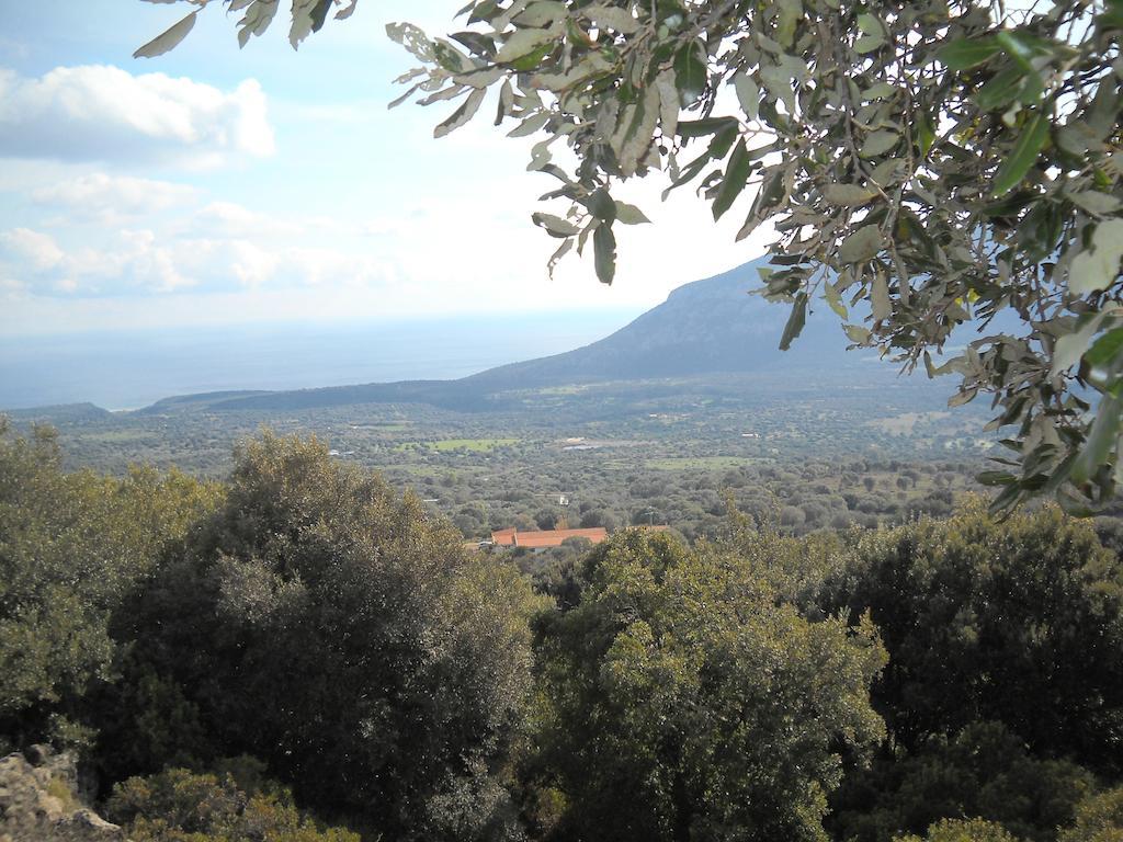 Agriturismo Su Tiresi Cala Gonone Exteriör bild