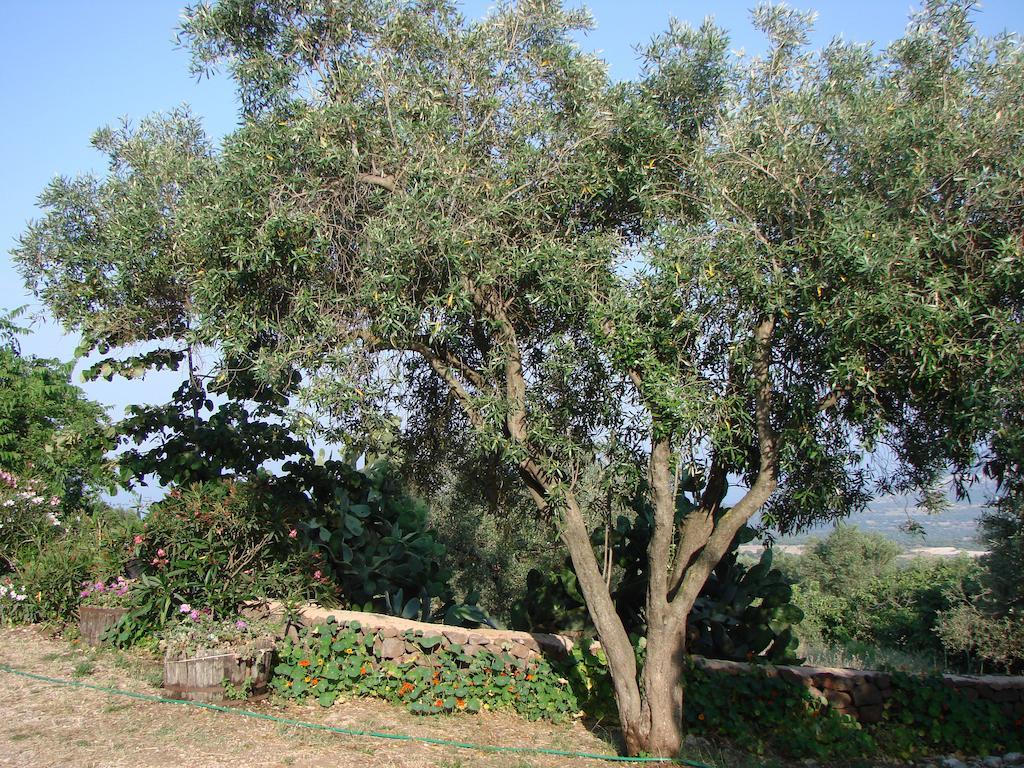 Agriturismo Su Tiresi Cala Gonone Exteriör bild