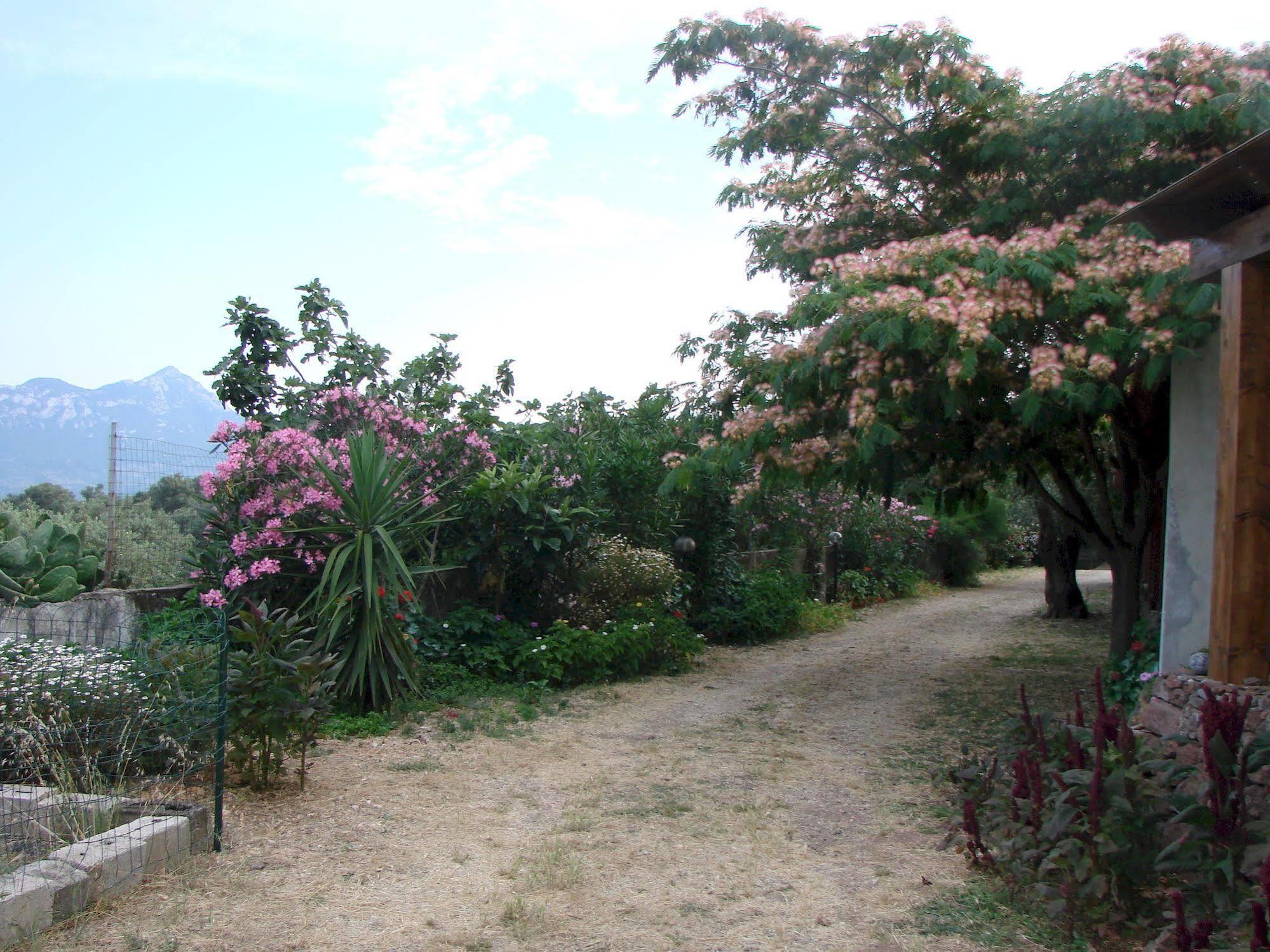 Agriturismo Su Tiresi Cala Gonone Exteriör bild