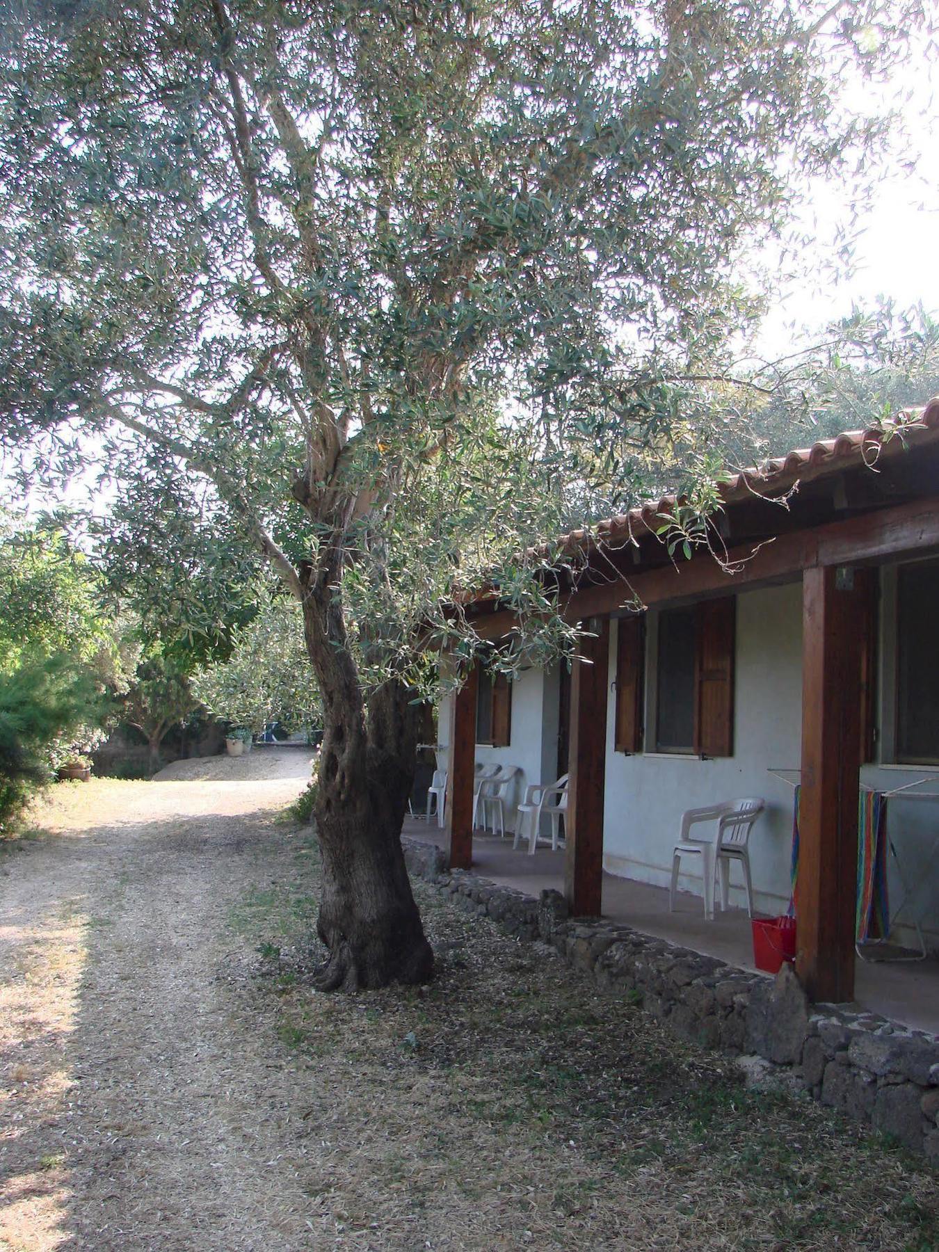 Agriturismo Su Tiresi Cala Gonone Exteriör bild