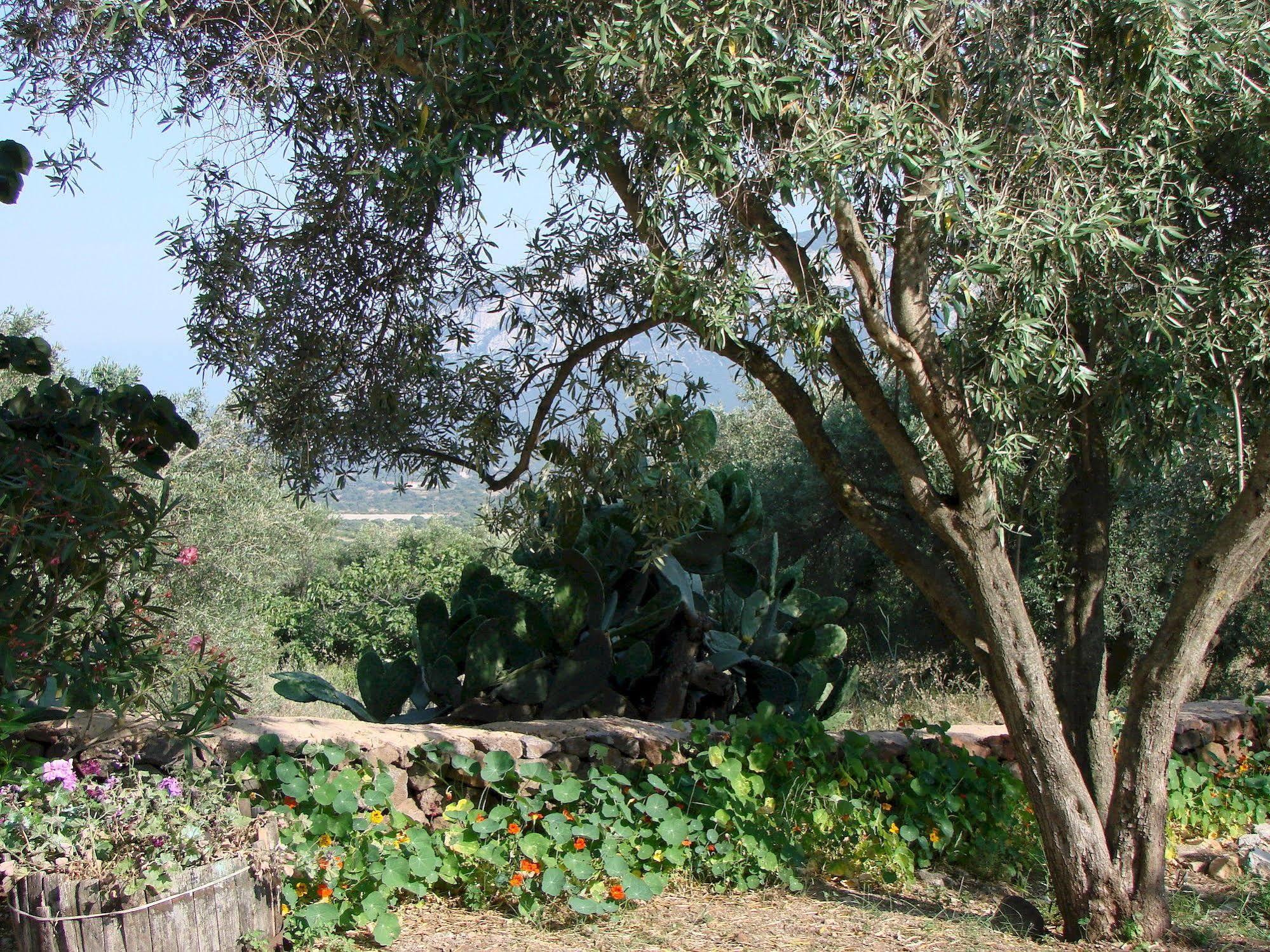 Agriturismo Su Tiresi Cala Gonone Exteriör bild
