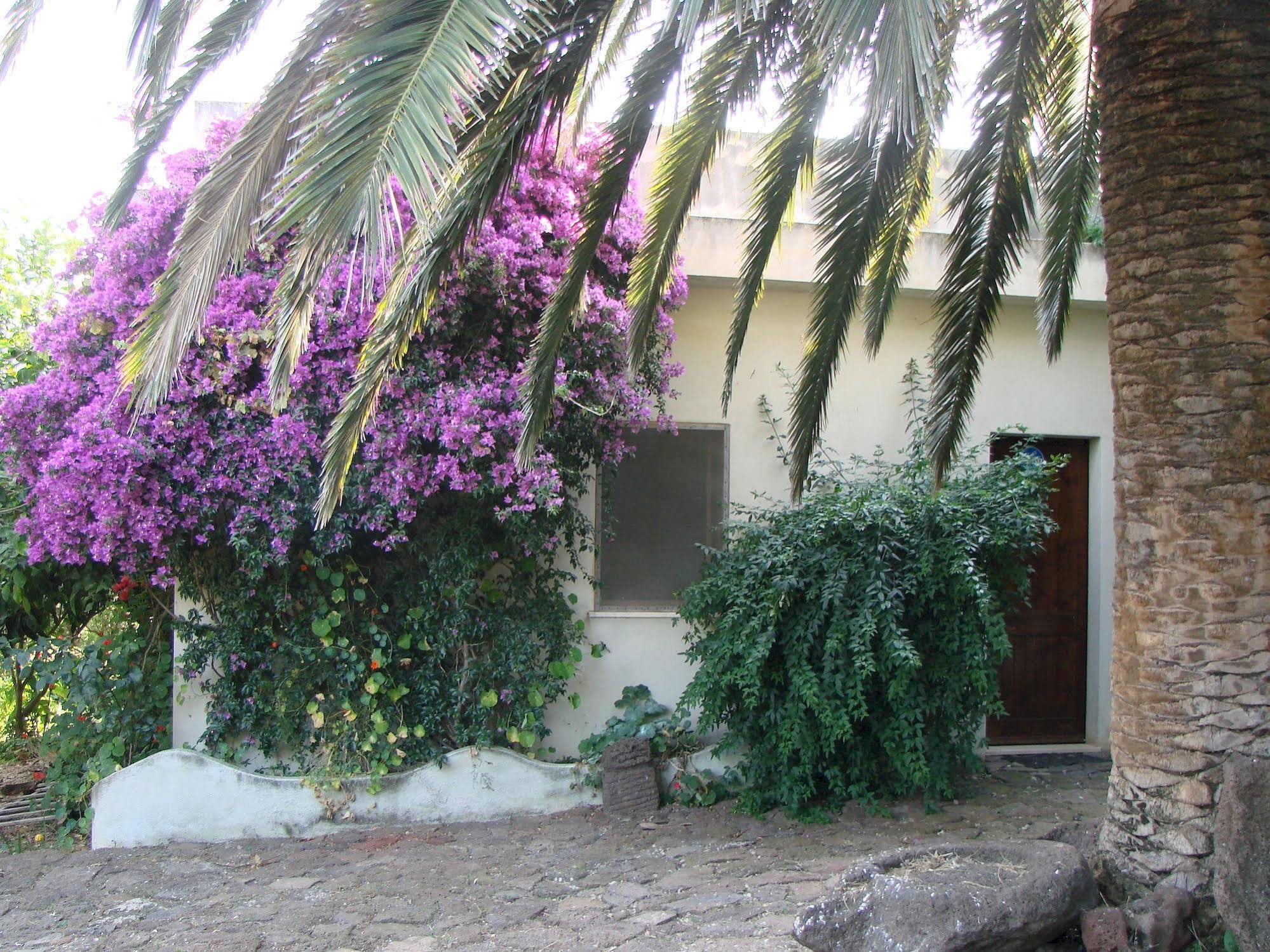 Agriturismo Su Tiresi Cala Gonone Exteriör bild