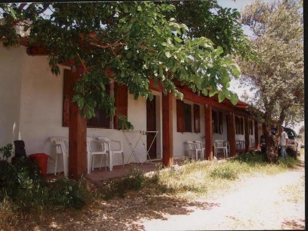 Agriturismo Su Tiresi Cala Gonone Exteriör bild