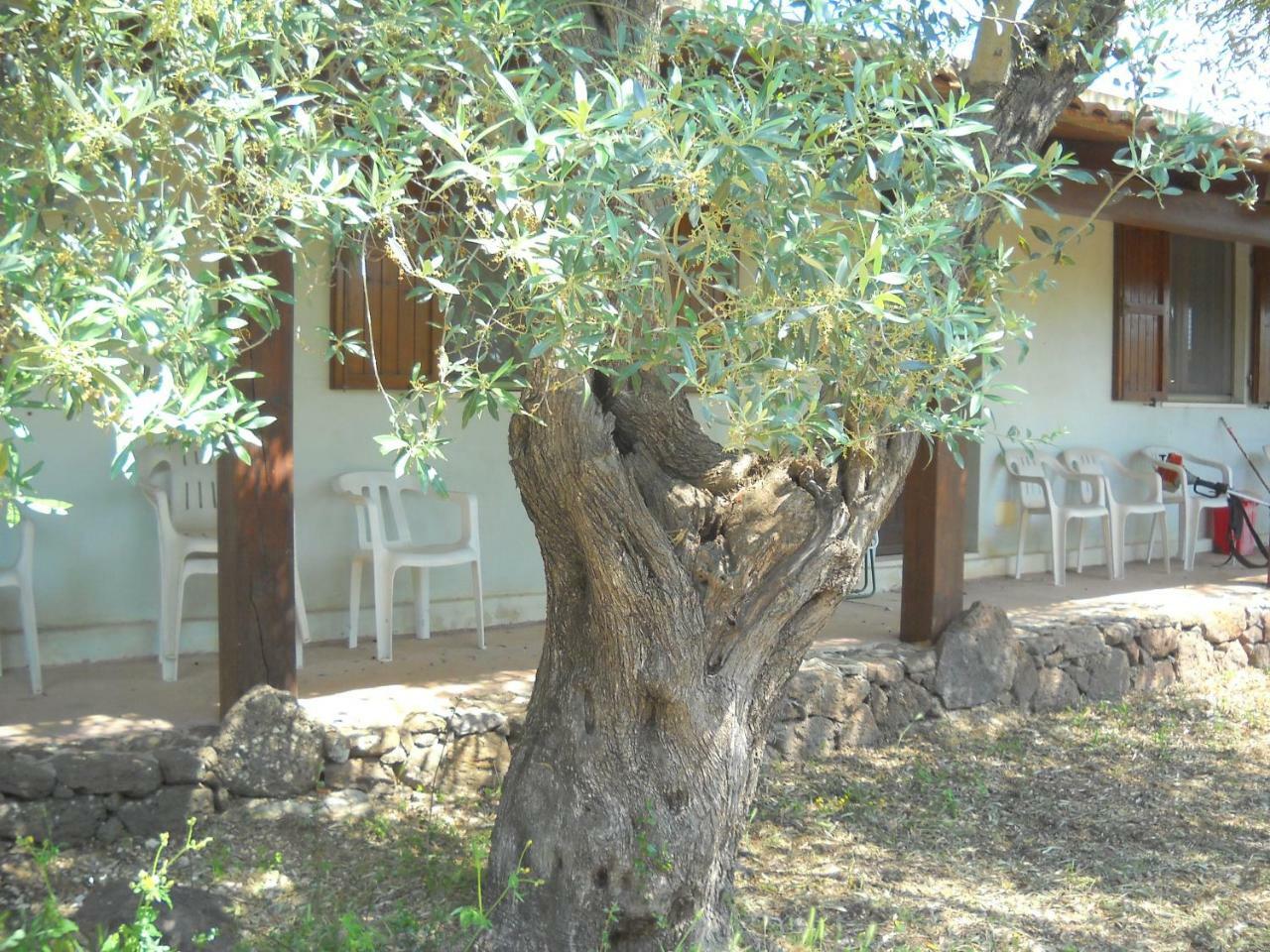 Agriturismo Su Tiresi Cala Gonone Exteriör bild