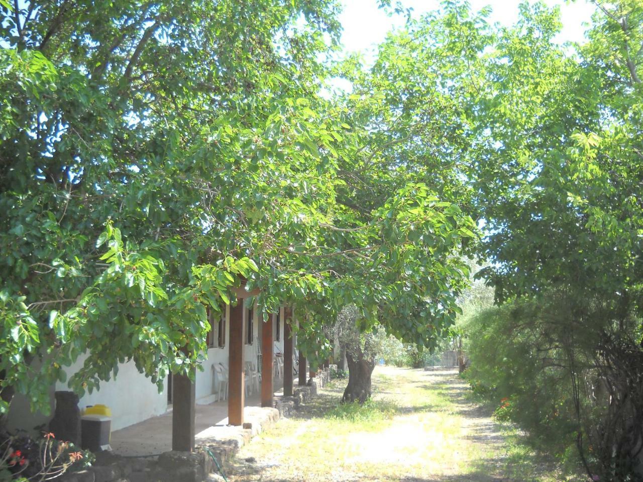 Agriturismo Su Tiresi Cala Gonone Exteriör bild