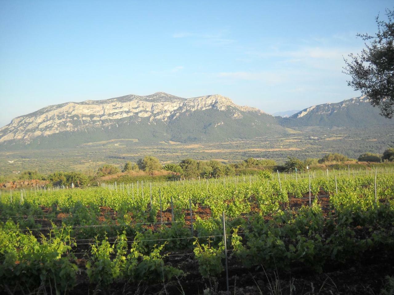 Agriturismo Su Tiresi Cala Gonone Exteriör bild